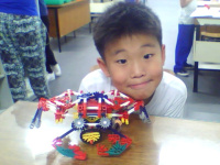 8151747.jpg