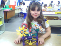 26204230.jpg