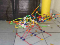 DSC01131 (Copy).JPG