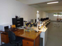 Mendel (3) (Copy).JPG